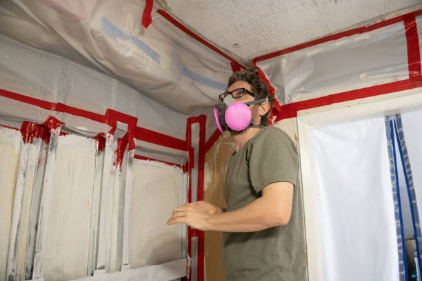 Best Mold Odor Removal Services  in Crooks, SD