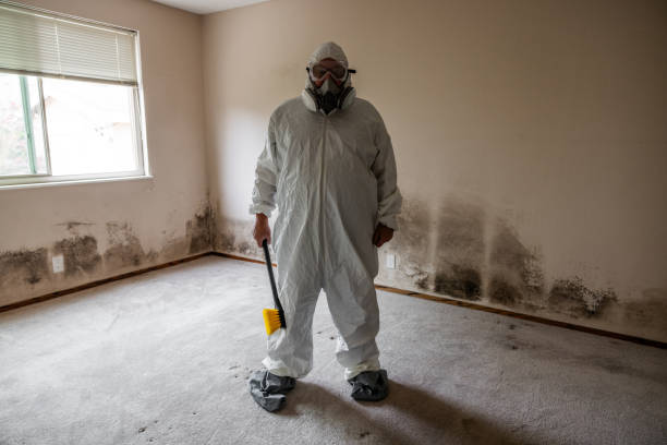 Trusted Crooks, SD Mold Removal Experts