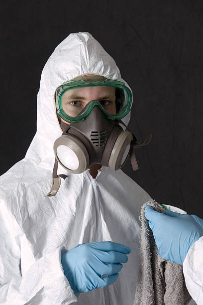 Best Black Mold Removal  in Crooks, SD